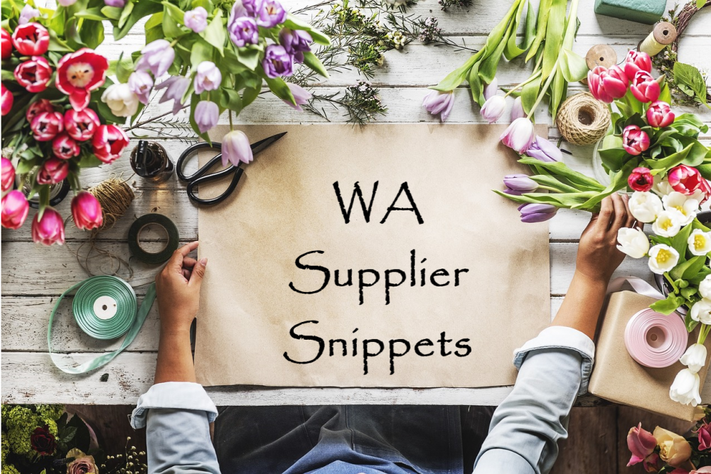 WA Supplier Snippets